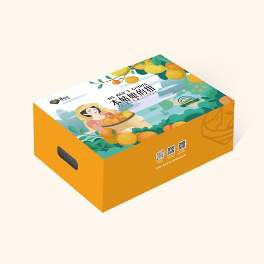 MAP·四川春见耙耙柑4.5kg礼盒装 商品图1