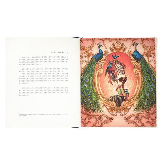《玛丽·安托瓦内特：王后的秘密日记》首部以断头台上的王后为主角的绘本 商品图2