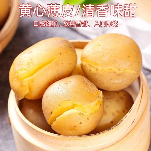 2024新土豆 湖北恩施富硒黄心小土豆2500g HHNY 商品图3