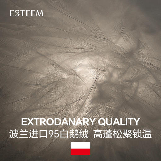 冰河湾公园可水洗鹅绒春秋被四件套 商品图3