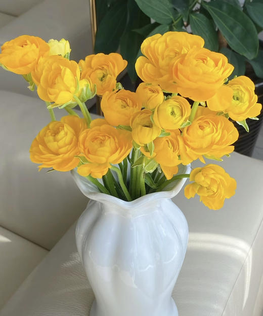 【富贵吉祥】经典版洋牡丹  多色可选  约8-10枝/扎 商品图8