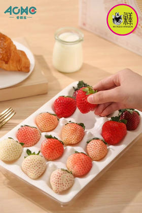 【五色草莓🍓】遇见莓好 基地直发✈️包邮