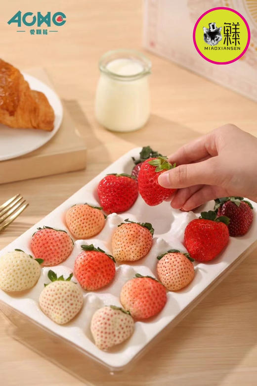 【五色草莓🍓】遇见莓好 基地直发✈️包邮 商品图0