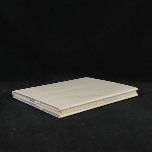 幻想与对称：埃舍尔纹样设计图集 42幅插图（12幅彩色） 精装16开 商品图2