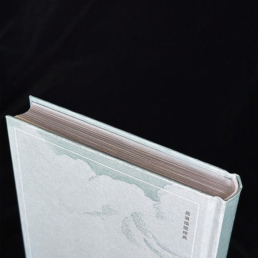 瓦尔登湖（插图珍藏版）“自然随笔之父”梭罗代表作 翻译名家孙致礼 自然极简隐居 版画 经典插图名著 商品图4