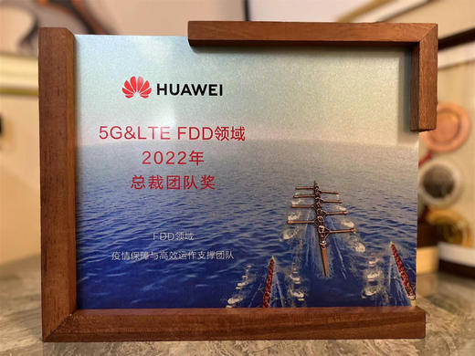 【logo定做FDD领域总裁团队奖】优秀员荣誉奖座 商品图3