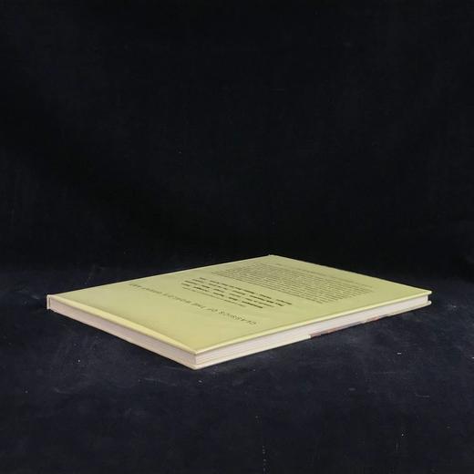 勃鲁盖尔画集 64幅彩色164幅黑白插图 精装大16开 商品图2