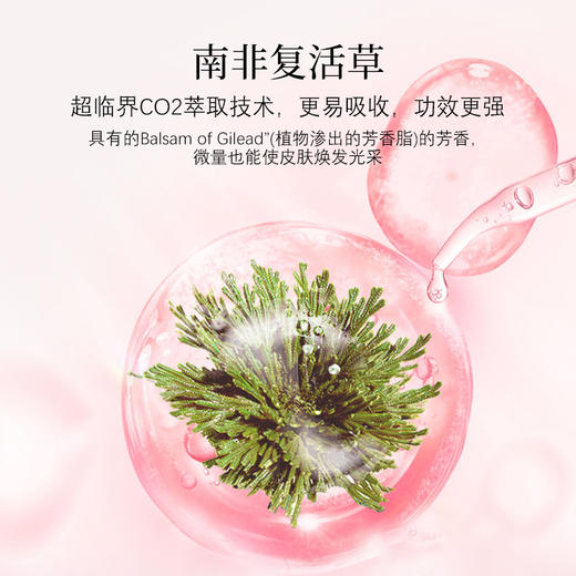 【VIP复购】IEM/植物原生阿甘果精华30ml（瑞士阿甘果精华） 商品图3