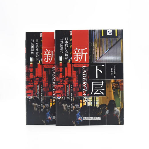 新下层 日本的社会阶层与贫困遗传 桥本健二  著 社会科学 商品图1