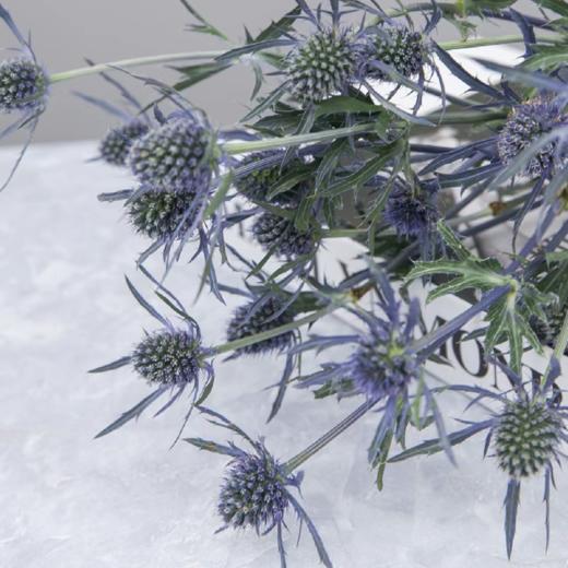 刺芹情人果丨配果 商品图3