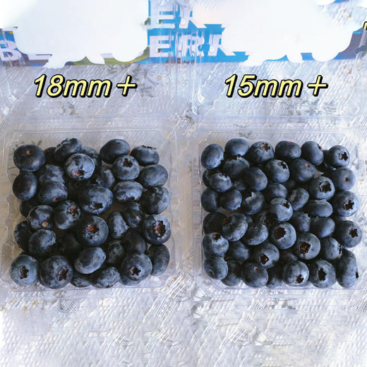 云南花香脆甜蓝莓 商品图8