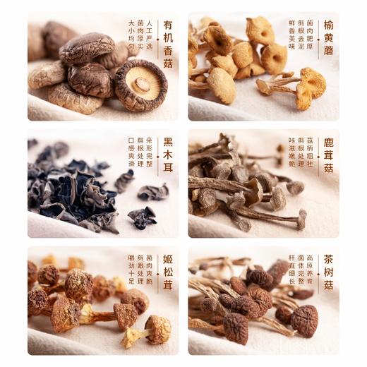 云小君金玉满堂金耳礼装盒优选食用菌礼盒姬松茸云南特产茶树菇 商品图4