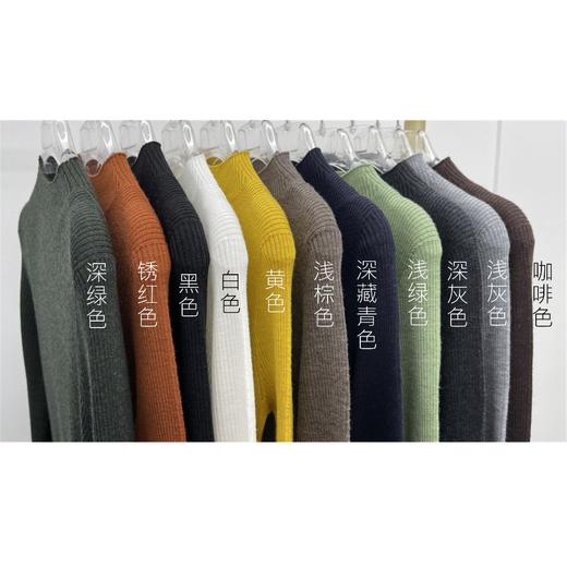 衣柜多色搭配-半高领羊毛通勤百搭修身纯色毛衣打底套衫  2208001 商品图1