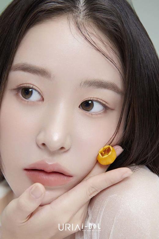 idol 半年抛  美洛棕 直径14.0mm着色13.0mm 商品图2