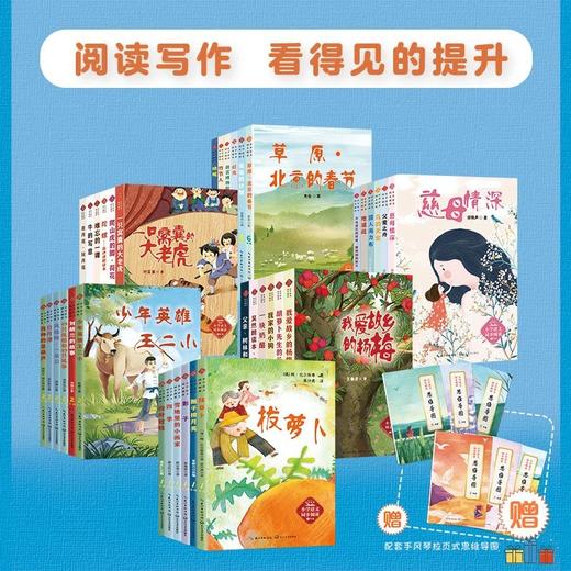 小学语文同步阅读 商品图1