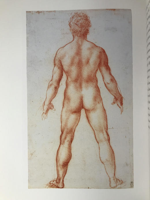 达·芬奇眼中的世界 约百幅插图 精装大16开 商品图9