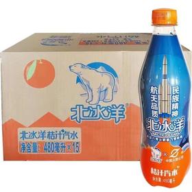 北冰洋480PET普通版480ml*15