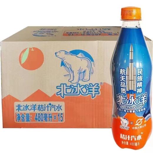 北冰洋480PET普通版480ml*15 商品图0