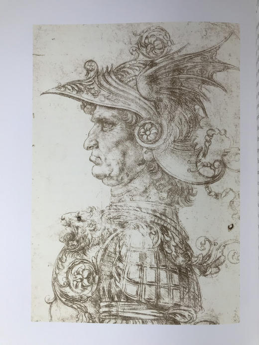 达·芬奇眼中的世界 约百幅插图 精装大16开 商品图12