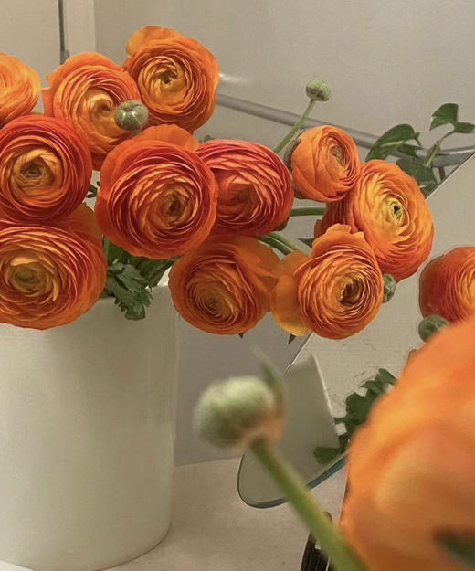 【富贵吉祥】经典版洋牡丹  多色可选  约8-10枝/扎 商品图4