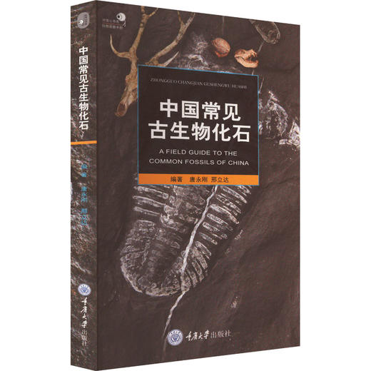 中国常见古生物化石 商品图0