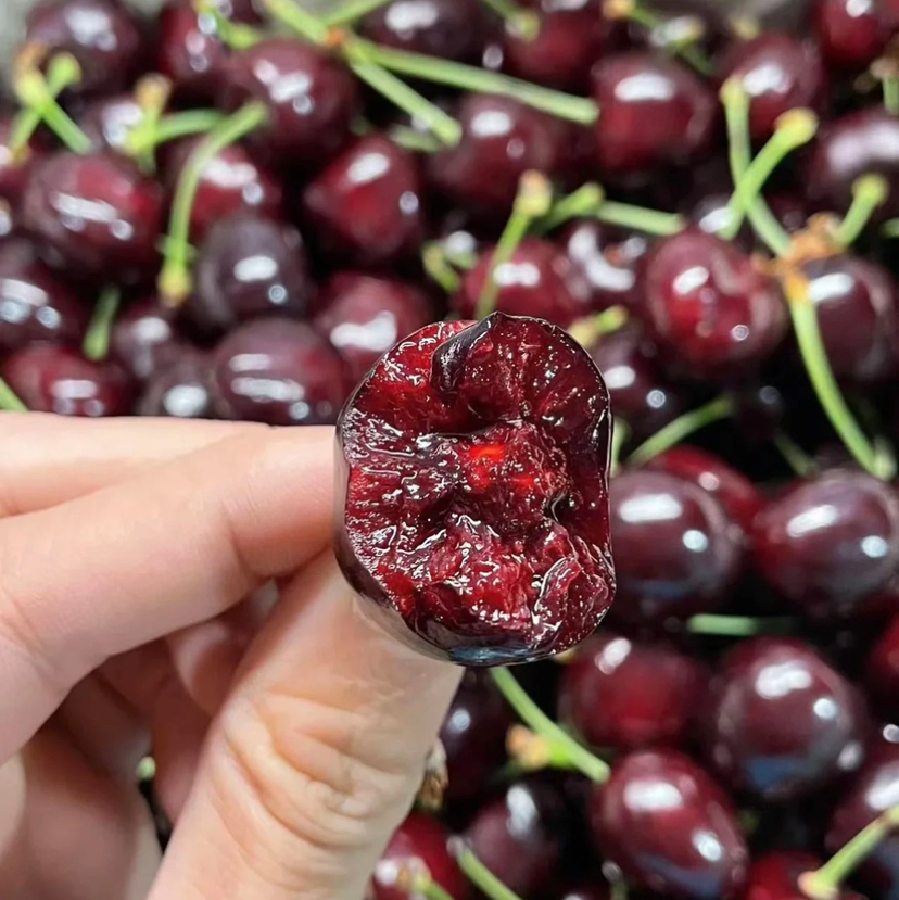 桑提娜4JD车厘子，黑车，大品牌，天花板级别，硬度高，脆甜！