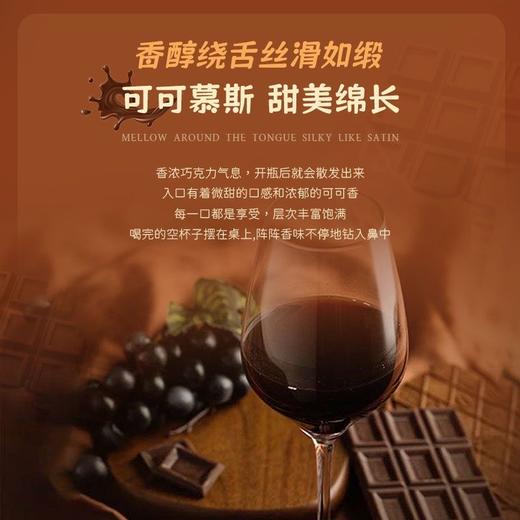 【酒庄三次登顶知名杂志封面】德国菲特可可慕斯红葡萄酒 德国原瓶进口 8%vol 商品图1