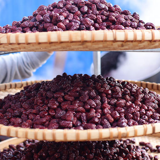 【79.9元2罐】滋仙严选云南三蒸三晾红枣（500g/克） 瓶装 商品图3