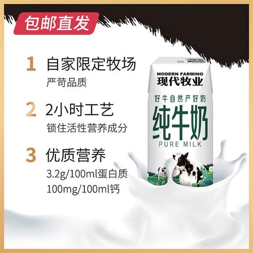 蒙牛 现代牧业 精装纯牛奶  250ml*12盒/箱 2箱/件【CS】（包邮直发）(ZB) 商品图1