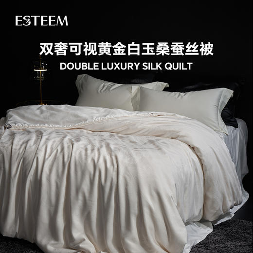 双奢可视黄金白玉桑蚕丝冬被 商品图0