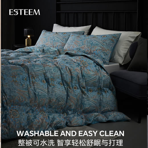 威尼斯夜曲可水洗鹅绒冬被 商品图3