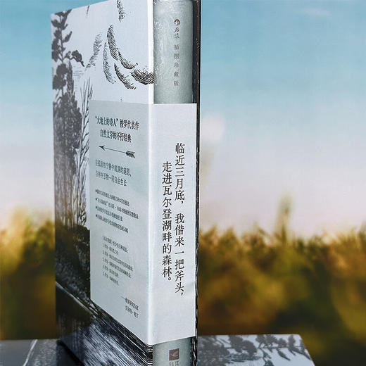 瓦尔登湖（插图珍藏版）“自然随笔之父”梭罗代表作 翻译名家孙致礼 自然极简隐居 版画 经典插图名著 商品图3
