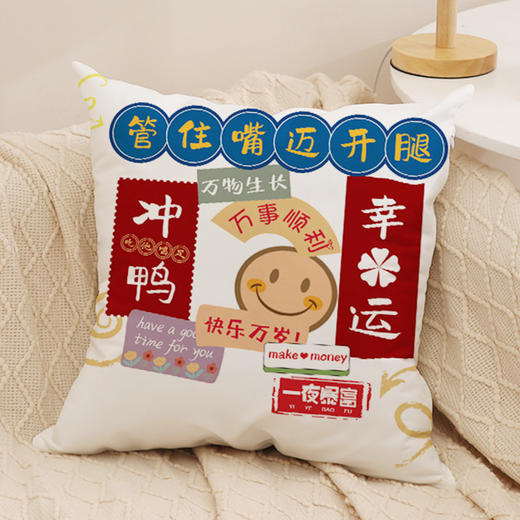 沙发抱枕【国潮文字毛绒发财抱枕】家居装饰 发财暴富 新年抱枕套 商品图11