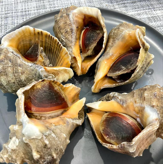 鲜活海螺
切片，葱姜炒，熬粥，凉拌，都可以
口感脆爽 3-5头/斤，3斤/箱 商品图0