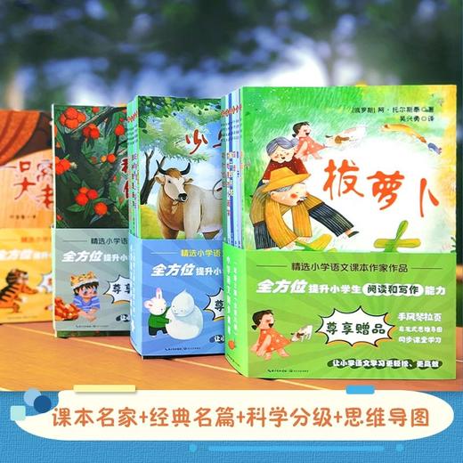 小学语文同步阅读 商品图2