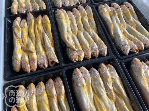 正宗的舟山野生小黄鱼2斤装 商品图6