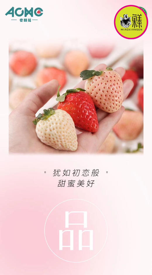 【五色草莓🍓】遇见莓好 基地直发✈️包邮 商品图4