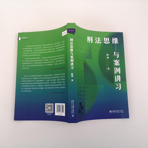 刑法思维与案例讲习 陈璇 北京大学出版社 商品图3