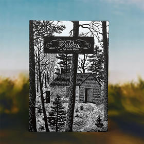 瓦尔登湖（插图珍藏版）“自然随笔之父”梭罗代表作 翻译名家孙致礼 自然极简隐居 版画 经典插图名著