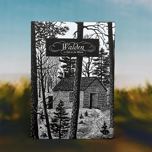 瓦尔登湖（插图珍藏版）“自然随笔之父”梭罗代表作 翻译名家孙致礼 自然极简隐居 版画 经典插图名著 商品图0