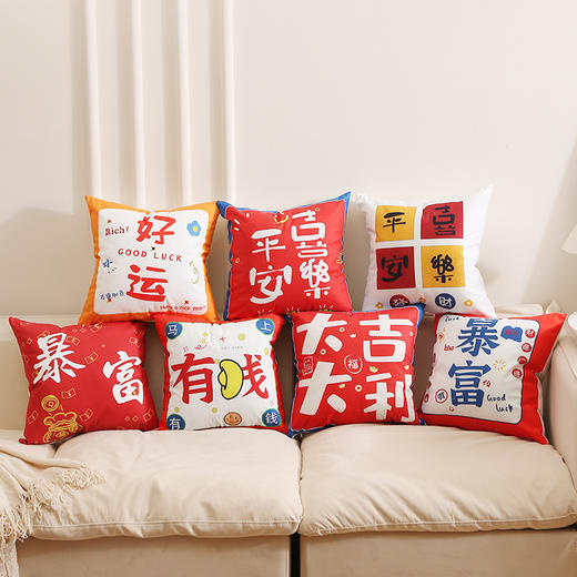 沙发抱枕【国潮文字毛绒发财抱枕】家居装饰 发财暴富 新年抱枕套 商品图0