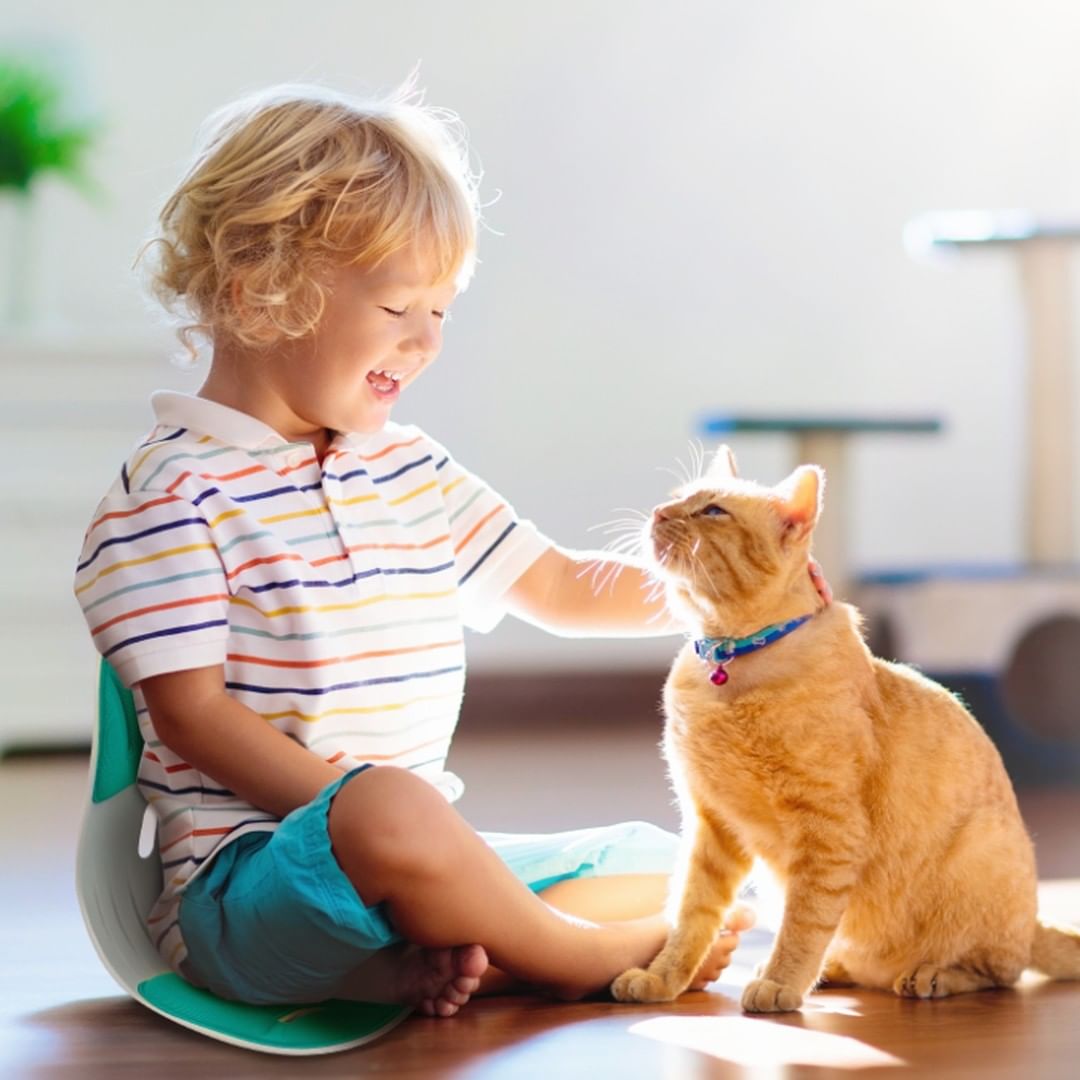 Kids系列 | 韩国进口curble可柔伴 儿童护腰坐垫 人体工学 学习久坐护腰椅 2~5岁（3色可选）