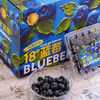 云南花香脆甜蓝莓 商品缩略图9