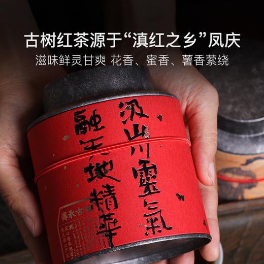 云南茶叶年礼，古树红茶&古树熟普 商品图1