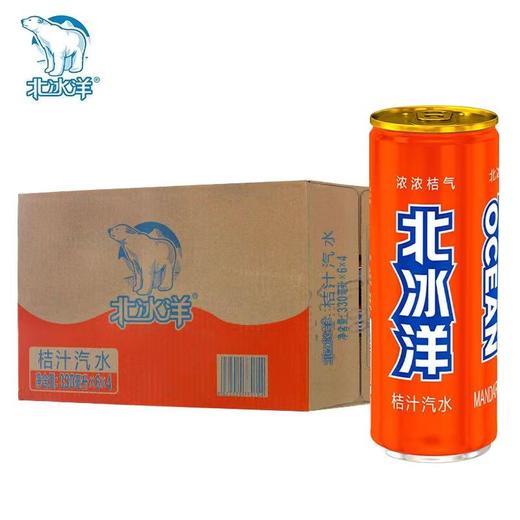 北冰洋听装桔汁汽水330ml*24 商品图0