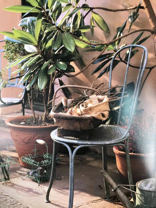 上漆家具图集 约百幅插图 精装16开 商品图8