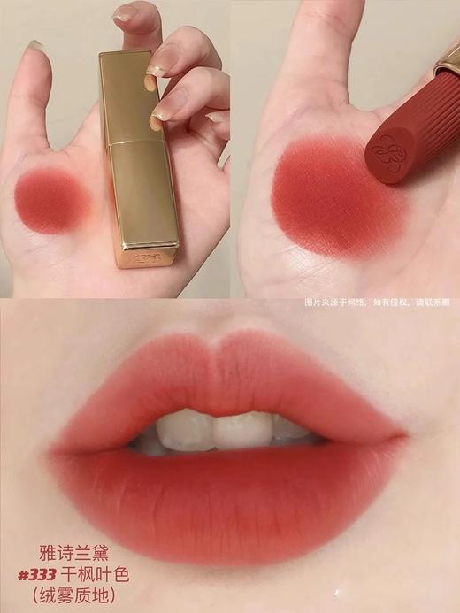 新款小金管 巨显白显色不干 雅诗兰黛 333# 420# 557# 商品图1