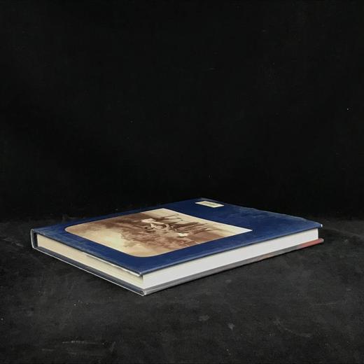 年轻的美国：十九世纪艺术与文化中的童年 168幅插图 精装16开 商品图2