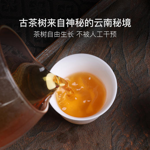 云南茶叶年礼，古树红茶&古树熟普 商品图3