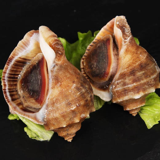鲜活海螺
切片，葱姜炒，熬粥，凉拌，都可以
口感脆爽 3-5头/斤，3斤/箱 商品图1